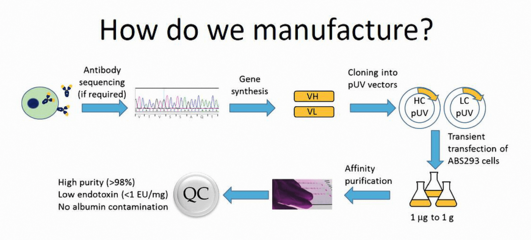 百余科學家呼吁,Nature發(fā)文,Abnova重組抗體來襲